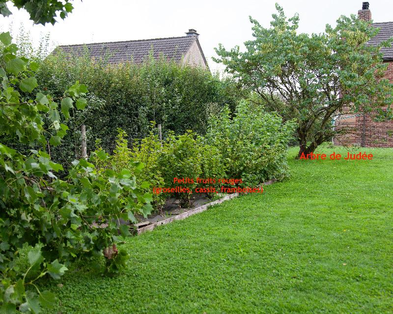 Milieux ligneux